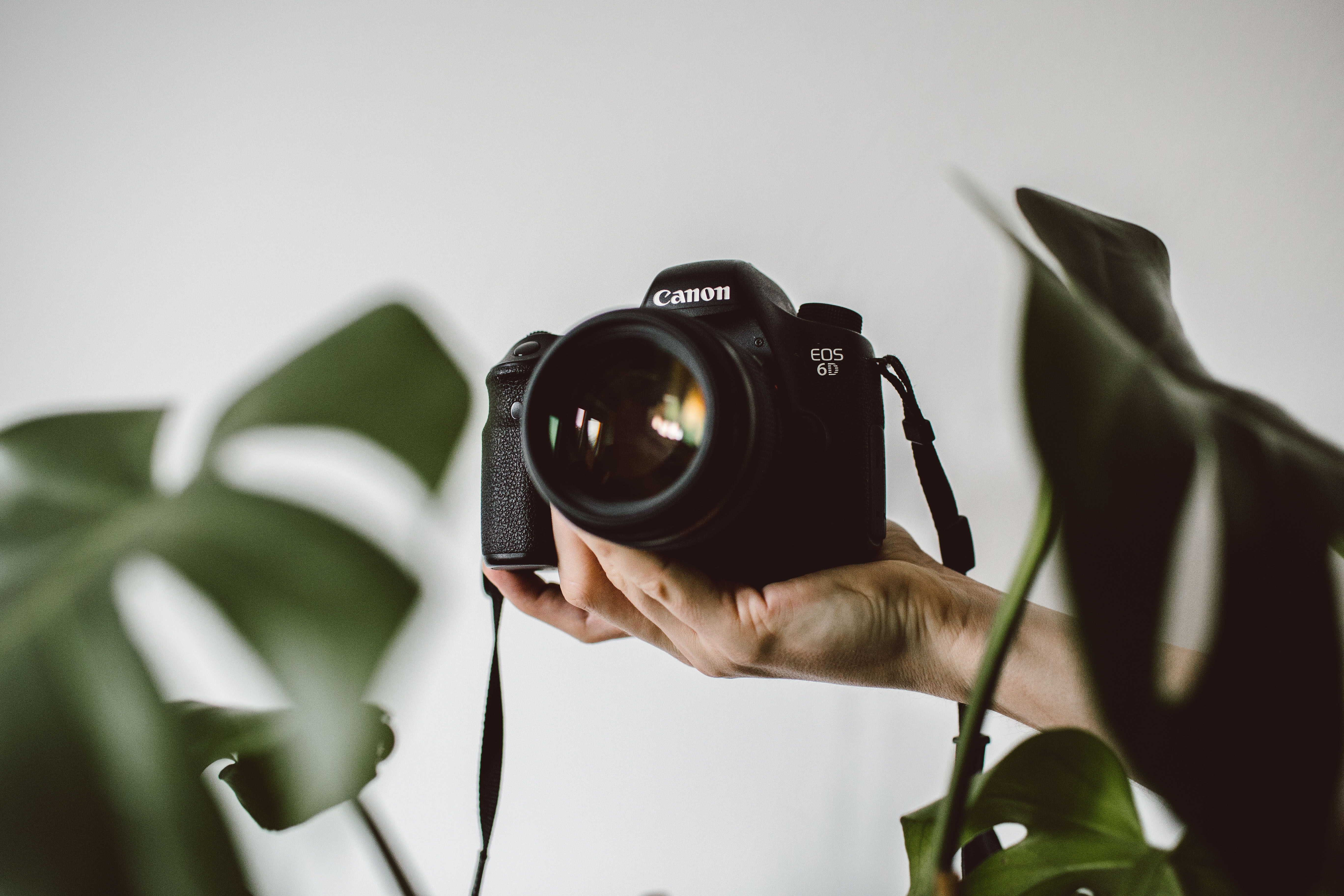 Tan Jing Kai | Personal Website